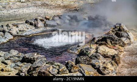 Campi geotermici vicino al lago di Furnas, Sao Miguel, Azzorre, portogallo Foto Stock