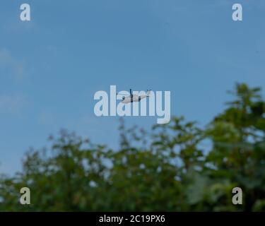 Royal Navy Merlin elicottero volo basso Foto Stock