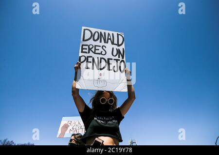 Los Angeles, Stati Uniti. 14 Giugno 2020. Un protetore tiene un cartello con la scritta 'Donald Eres un Pendejo' durante la marcia. Migliaia di manifestanti si sono incontrati domenica a marzo a Hollywood e a West Hollywood in una marcia di solidarietà anti-razzismo. Il giorno originariamente era destinato a tenere la Parata DI LA Pride, ma la Parata di Pride era stata precedentemente annullata a causa della pandemia COVID-19. Gli organizzatori hanno detto all'inizio di questo mese che avrebbero organizzato una marcia in solidarietà con la questione Black Lives e contro la brutalità e l'oppressione della polizia. Credit: SOPA Images Limited/Alamy Live News Foto Stock