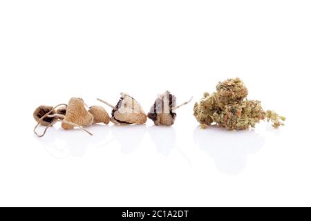 Asciugato i funghi magici con bud marijuana Foto Stock