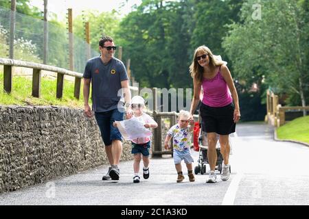 Dudley, West Midlands, Regno Unito. 15 giugno 2020. Una giovane famiglia è tra i primi visitatori, come Dudley zoo apre le sue porte per la prima volta dal blocco del Regno Unito, con un ingresso gestito e arangement piena sicurezza. Credit: Peter Lopeman/Alamy Live News Foto Stock