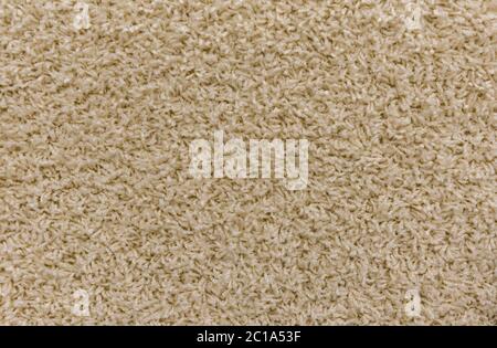 moquette. Sfondo. Tessuto. Foto Stock