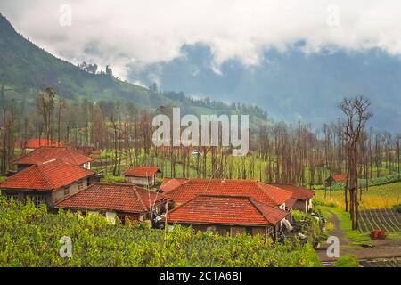 Cemoro Lawang village in Java Foto Stock