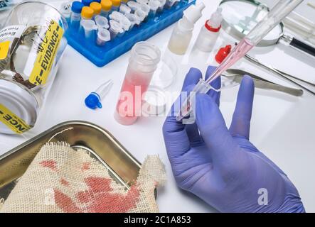 Specialista cop esamina pezzo di macchiate di sangue stoffa appartenenti alla vittima di omicidio, il concetto di immagine Foto Stock