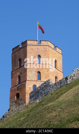 Torre di Gediminas a Vilnius Foto Stock