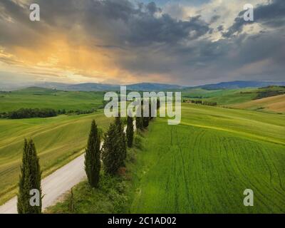 Incredibile tramonto colorato in Toscana. Pittoresco agriturismo e tipica strada curva con cipresso, paesaggio in Toscana, Italia, Europa Foto Stock