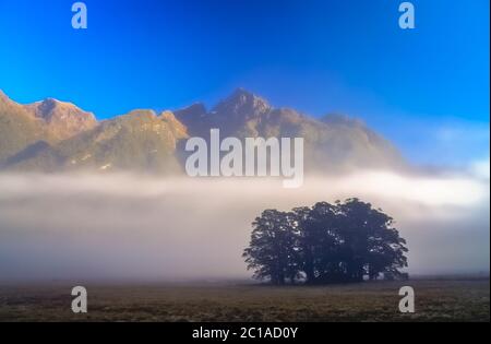 La nebbia e la nebbia in una valle in Nuova Zelanda Alpi Foto Stock