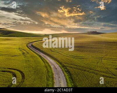 Impressionante paesaggio primaverile, vista con cipressi e vigneti, Toscana, Italia Foto Stock