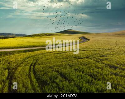 Incredibile tramonto colorato in Toscana. Pittoresco agriturismo e tipica strada curva con cipresso, paesaggio in Toscana, Italia, Europa Foto Stock