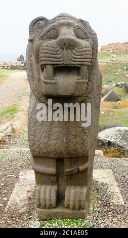 Il basalto lion statua, Rovine di Ain Dara tempio vicino Aleppo, Siria Foto Stock