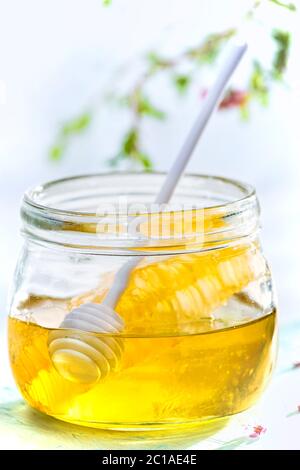 Vaso di miele con nido d'ape e cucchiaia di miele Foto Stock