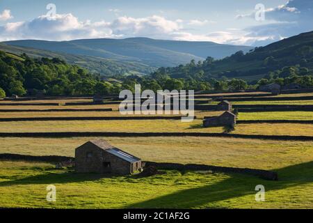 Vista lungo Gunnerside nella valle di Swaledale con tradizionali muri a secco e fienili Foto Stock