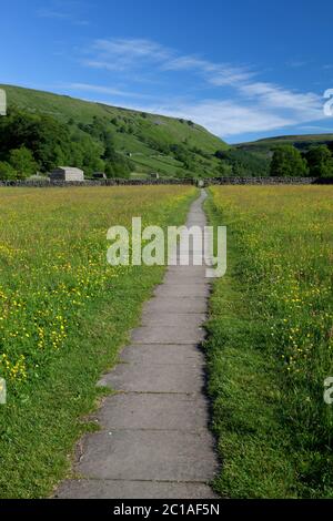 Sentiero attraverso Buttercup riempito prato in Swaledale, Muker, Yorkshire Dales National Park, North Yorkshire, Inghilterra, Regno Unito, Europa Foto Stock