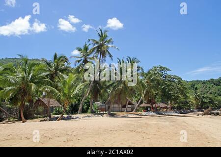 Vista delle case sulla spiaggia con palme, Villaggio Ampangorinana, Isola Nosy Komba, Madagascar. Foto Stock
