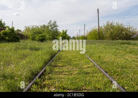 Prospettiva di vecchia e arrugginita linea ferroviaria abbandonata con la sua tipica pista metallica coperta di erba e vegetali a causa della mancanza di utilizzo. Immagine di un Foto Stock