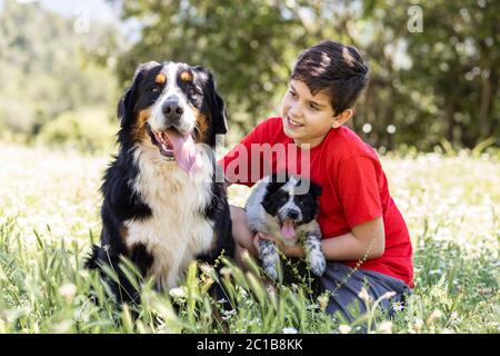 Ragazzo con un cane di montagna bernese e un cucciolo Foto Stock