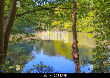 Immagine orizzontale del lago con il riflesso degli alberi a Hampstead Heath, Londra, Regno Unito in Springtime Foto Stock