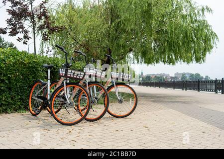 noleggio biciclette biciclette pubbliche, biciclette in condivisione sella. Vista dettagliata di una ruota ciclabile con più biciclette allineate. Noleggio biciclette. Primo piano delle ruote per biciclette Foto Stock