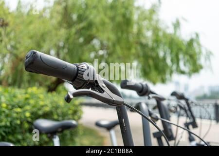 noleggio biciclette biciclette pubbliche, biciclette in condivisione sella. Vista dettagliata di una ruota ciclabile con più biciclette allineate. Noleggio biciclette. Primo piano delle ruote per biciclette Foto Stock