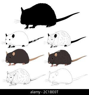 ratto, mouse, insieme con silhouette e schizzo Illustrazione Vettoriale
