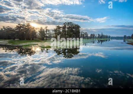 USA, Louisiana, Jefferson Parish, Lafayette, Lake Martin Sunrise Foto Stock