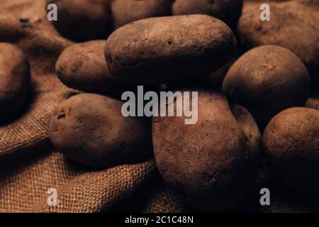 Mucchio di tuberi di patate raccolti, fuoco selettivo Foto Stock