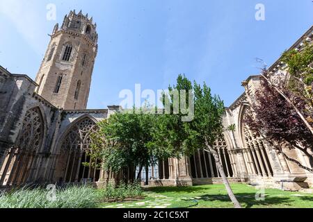 Chiostro della vecchia Cattedrale di Lleida, Lleida, Catedral de Santa Maria de la Seu Vella,, Catalogna, Spagna Foto Stock