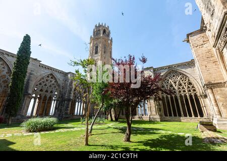 Chiostro della vecchia Cattedrale di Lleida, Lleida, Catedral de Santa Maria de la Seu Vella,, Catalogna, Spagna Foto Stock