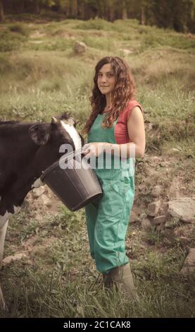 Alimentazione agricoltore vacche su di una azienda agricola biologica Foto Stock