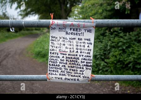 Cartello "non nutrire i cavalli" su un cancello nelle Pentland Hills vicino a Edimburgo, Scozia, Regno Unito. Foto Stock