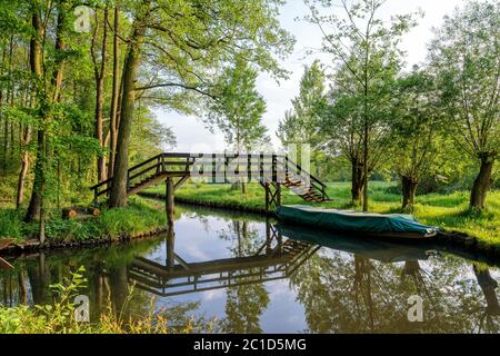 spreewald a brandeburgo, germania Foto Stock