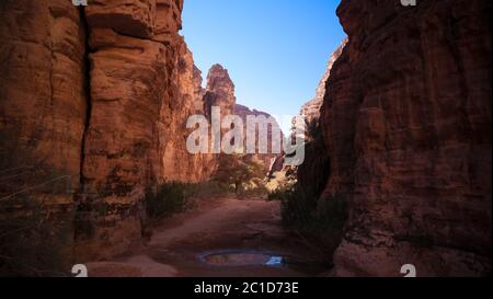 Formazione rocciosa di bizzare a Essendilene, parco nazionale di Tassili nAjjer, Algeria Foto Stock