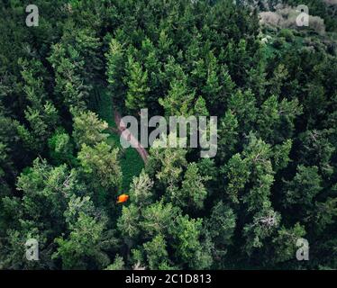 Vista aerea della tenda arancione nella foresta delle montagne. Foto scattata con il drone Foto Stock