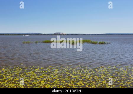 Steinhuder Meer / Lago Steinhude nel Hannoversche Moorgeest / Hanoverian Moor Geest in estate, bassa Sassonia, Germania Foto Stock