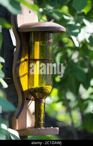 Alimentatore per uccelli, realizzato in un pallone di vetro vuoto. Uso di rifiuti domestici in decorativo, e scopi pratici nel giardinaggio Foto Stock