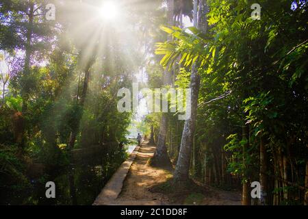 Una vista del sole delle acque interne da uno stato chiamato Kerala situato nella parte meridionale dell'India Foto Stock