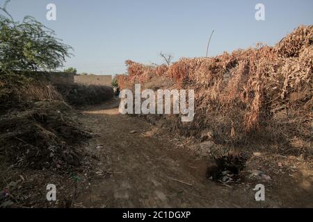 Via in UN villaggio a Sindh, Pakistan Foto Stock