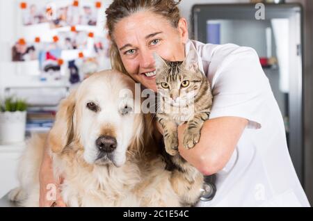 Consulenza veterinaria con il suo Golden Retriever cane e gatto Foto Stock