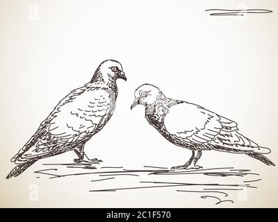 Disegno a mano dello schizzo del vettore di uccello colomba Illustrazione Vettoriale