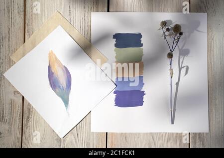 Una tavolozza di colori con campioni di fiori prelevati da una pianta di campo secca e che mostrano questi colori nel disegno Bud. Con l'ombra di un crusca frondoso Foto Stock