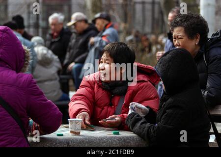 Le donne anziane giocano a carte nel Columbus Park di Chinatown a Manhattan, New York City, Stati Uniti d'America Foto Stock