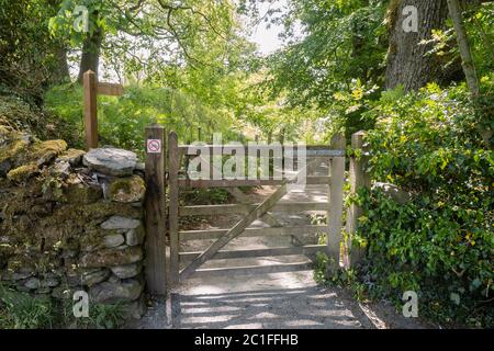 Potter Fell è una caduta nei pressi dei villaggi di Burneside e Staveley, Cumbria, Inghilterra. Sul cadavere sono presenti numerosi tarni, tra cui Gurnal Dubs Foto Stock