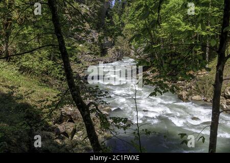 Breitach Gorge, maggio. Kleinwalsertal, Oberstdorf, Allgälu, Germania, Europa Foto Stock