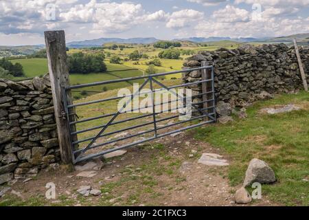 Potter Fell è una caduta nei pressi dei villaggi di Burneside e Staveley, Cumbria, Inghilterra. Sul cadavere sono presenti numerosi tarni, tra cui Gurnal Dubs Foto Stock