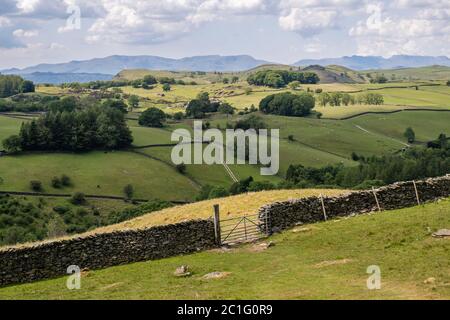 Potter Fell è una caduta nei pressi dei villaggi di Burneside e Staveley, Cumbria, Inghilterra. Sul cadavere sono presenti numerosi tarni, tra cui Gurnal Dubs Foto Stock