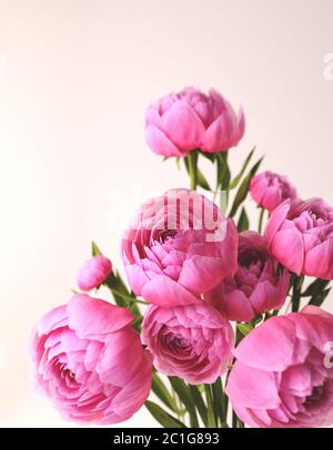 Bouquet di peonie rosa su sfondo bianco. Fresche e belle peonie. illustrazione 3d di un bouquet di fiori rosa Foto Stock