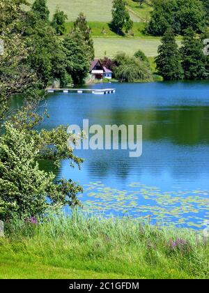 Lago idilliaco con canne e foreste sulla riva e con le zone di giglio nel sud della Germania Foto Stock