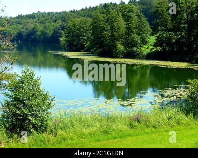 Lago idilliaco con canne e foreste sulla riva e con le zone di giglio nel sud della Germania Foto Stock