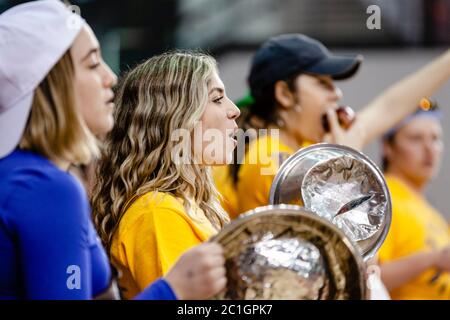 Pallavolo donna giocatore Ryerson Rams - sostenitore, tifosi Foto Stock