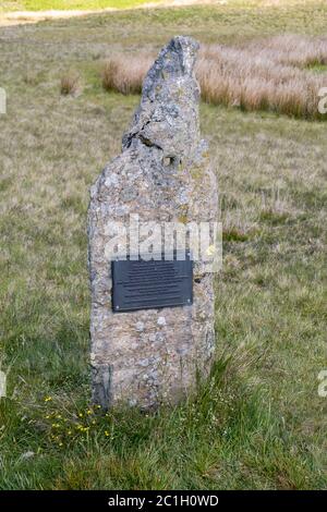 Potter Fell è una caduta nei pressi dei villaggi di Burneside e Staveley, Cumbria, Inghilterra. Sul cadavere sono presenti numerosi tarni, tra cui Gurnal Dubs Foto Stock